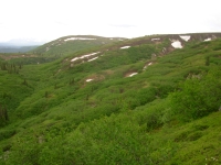Kesugi Ridge